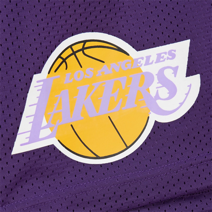 Pantalone Los Angeles Lakers Mitchell & Ness Hardwood Classics Violeta